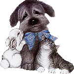hond_166
