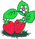 jsberry6