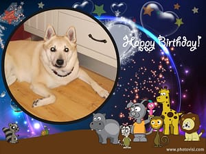 Mozarth 2 år