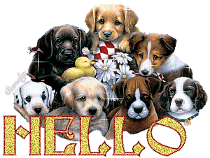 doggies983