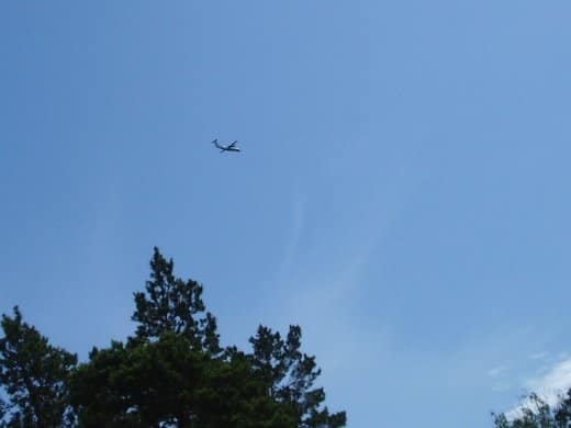 Midsommar afton 2011