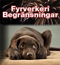 Fyrverkeri Begränsningar